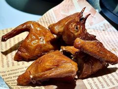 -鸽小宝(深圳首店)