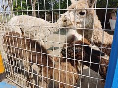 -武汉紫薇都市田园