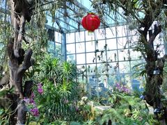 -东莞植物园