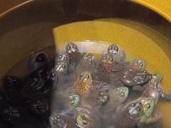 -鸽子窝(宋庄店)