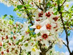 -长春公园(普阳街道)