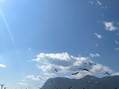 -大理洱海