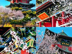 -迎泽公园