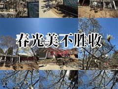 -国家植物园南园