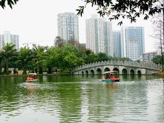 -四海公园(南山区)