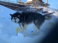 -北极村旅游风景区