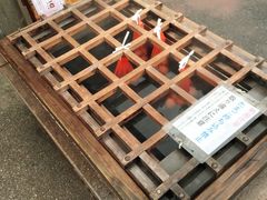 -城崎温泉 外七汤