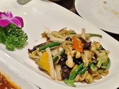 花生苗炒海螺片-周锦记广式餐厅(格林生活坊2期店)