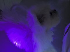 -中农国际动物医院24小时·猫科·骨科·急重症中心