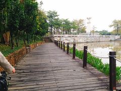 -中澳友谊花园