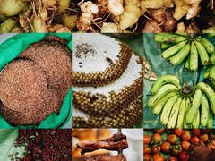 -西双版纳基诺山寨