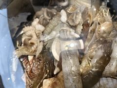 -大锅强·蒸海鲜青岛菜(金沙滩店)