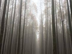 -山王坪喀斯特国家生态公园