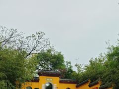 -巢湖姥山岛