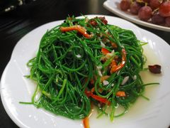 -许记驴肉黄面胡杨焖饼