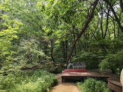 -大青沟风景区