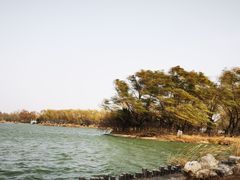 -大兴滨河森林公园