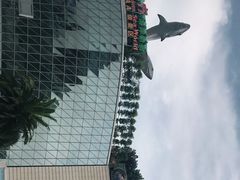 -成都浩海立方海洋公园