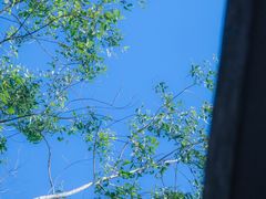 -火炉山森林公园