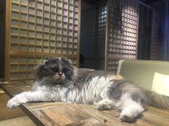 -小时光咖啡馆(开森度假森林店)