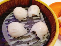 -澳门陈光记烧味饭店(南京德基广场店)