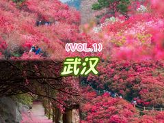 -木兰云雾山
