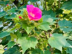 -盘龙城遗址博物院