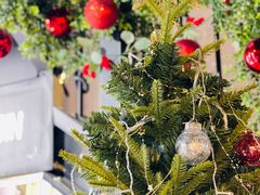 -LESCEDARS Brasserie Bistro香柏树