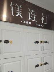 -镁连社·美联社