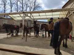 -月河湾马术俱乐部(朝阳店)