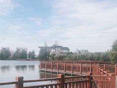 -五缘湾湿地公园