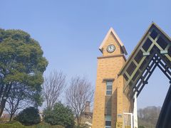 -大塘金香草谷