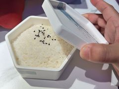 -马邦子·紫苏烤鱼(恒隆广场店)