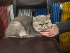 -韩明洞韩国餐厅