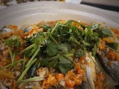 -张鸟园农家乐(张鸟园店)