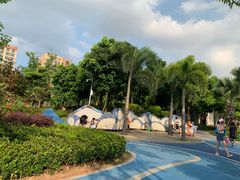 -宝安西湾红树林湿地公园