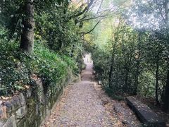 -狼山风景名胜区