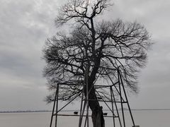 -观潮胜地公园