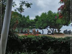 -大理老字号·舟渔的鱼野生菌海景餐厅(双廊店)