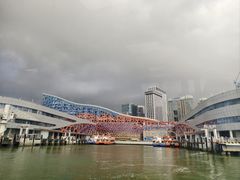 -招商蛇口邮轮母港(观光客运)