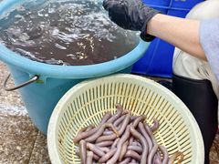 -轩记海鲜餐厅·四十五年老字号·经典粤菜(西区彩虹店)