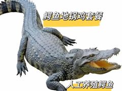 -铁锅年代•现炒地锅鸡(仪凤南路店)