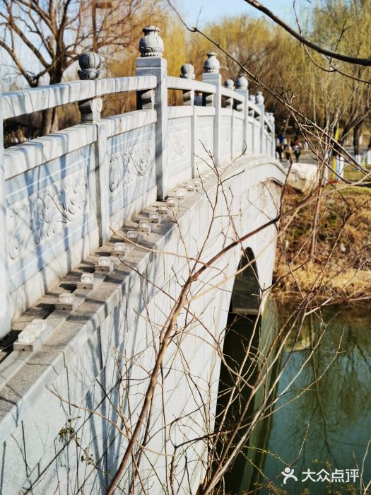 西安世博园图片