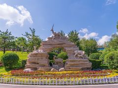 -青藏高原野生动物园