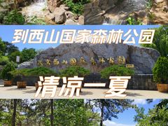 -北京西山国家森林公园