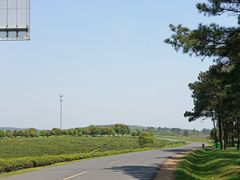 -游子山休闲旅游区