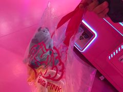 -BIG PINK大粉娃娃机主题馆(圆融星座店)
