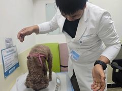 -美联众合动物医院·24h转诊中心