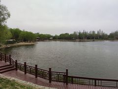 -北坞公园