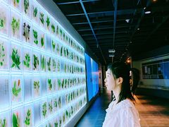 -广东中医药博物馆